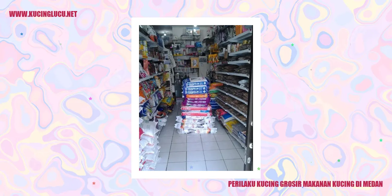 Perilaku Kucing grosir makanan kucing di Medan