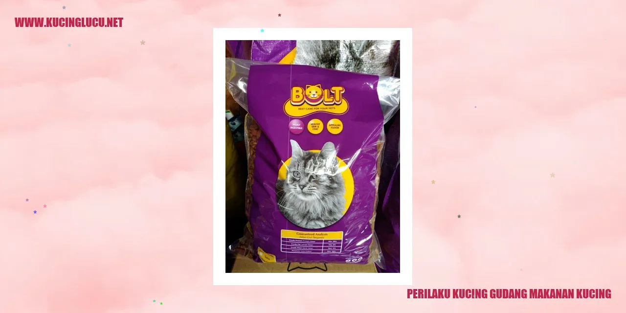 Ilustrasi gambar kucing dengan makanan