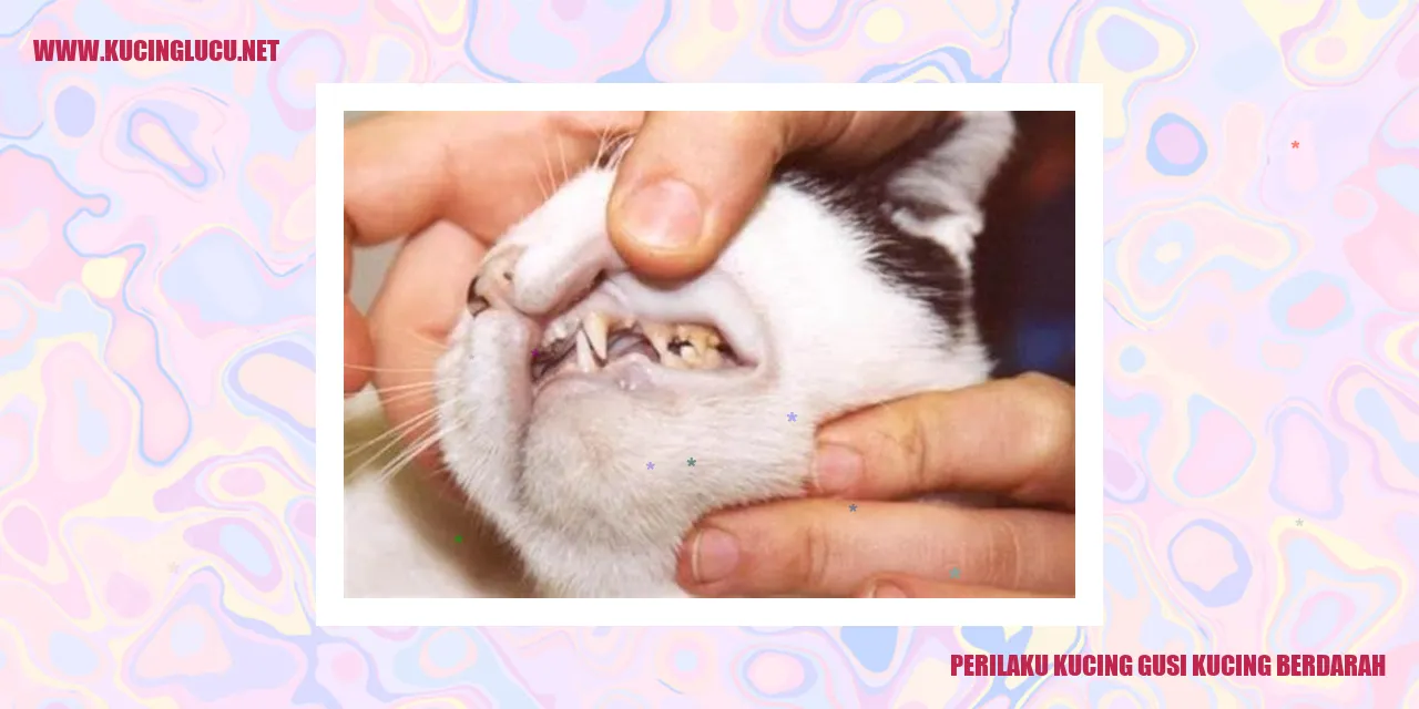 Perilaku Kucing dengan Gusi Berdarah