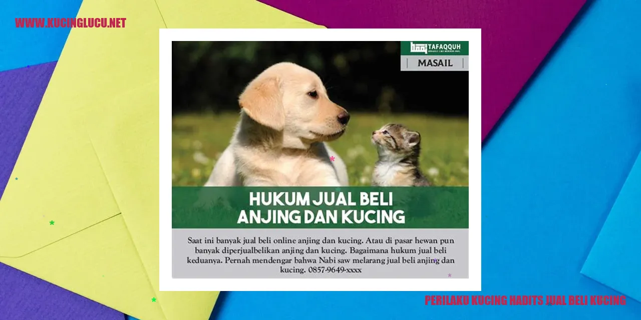 Perilaku Kucing saat Membeli dan Menjual Kucing