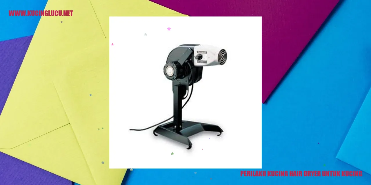 Seekor kucing menikmati hembusan angin dari hair dryer
