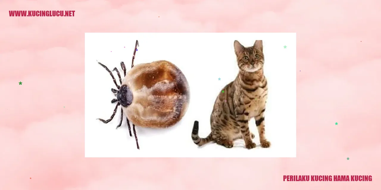 Kucing hama kucing