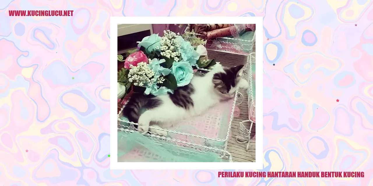 Kucing dengan handuk bergambar kucing