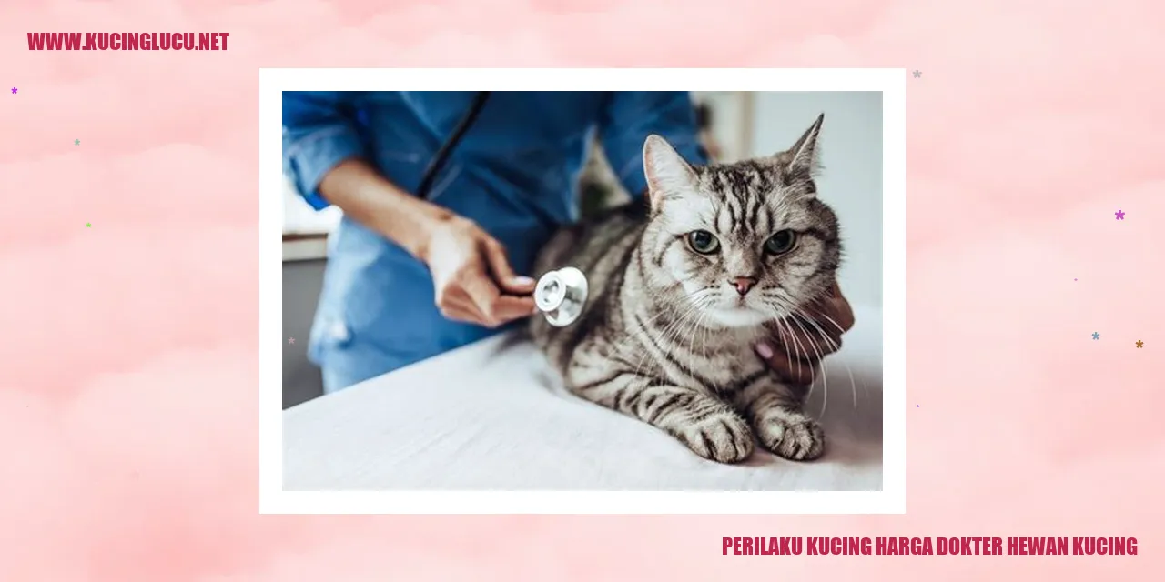 Perilaku Kucing harga dokter hewan kucing