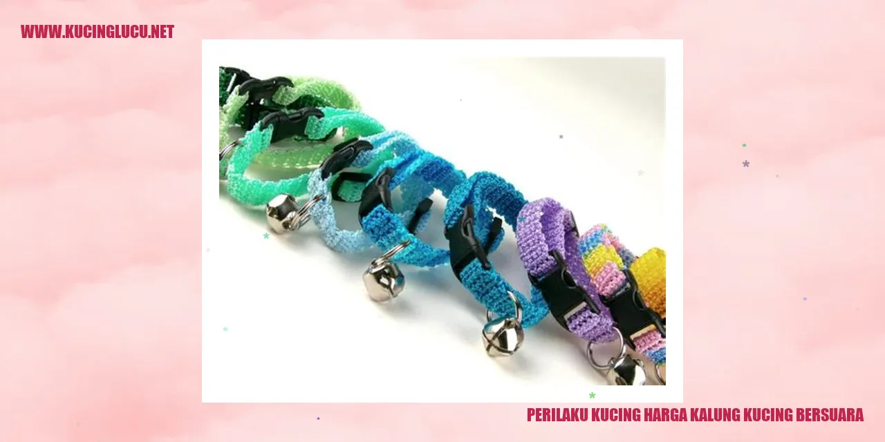 Gambar kucing dengan kalung suara