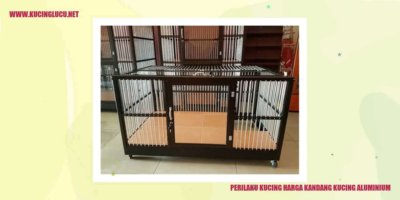 Perilaku Kucing