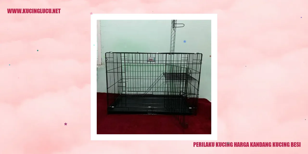 Perilaku Kucing