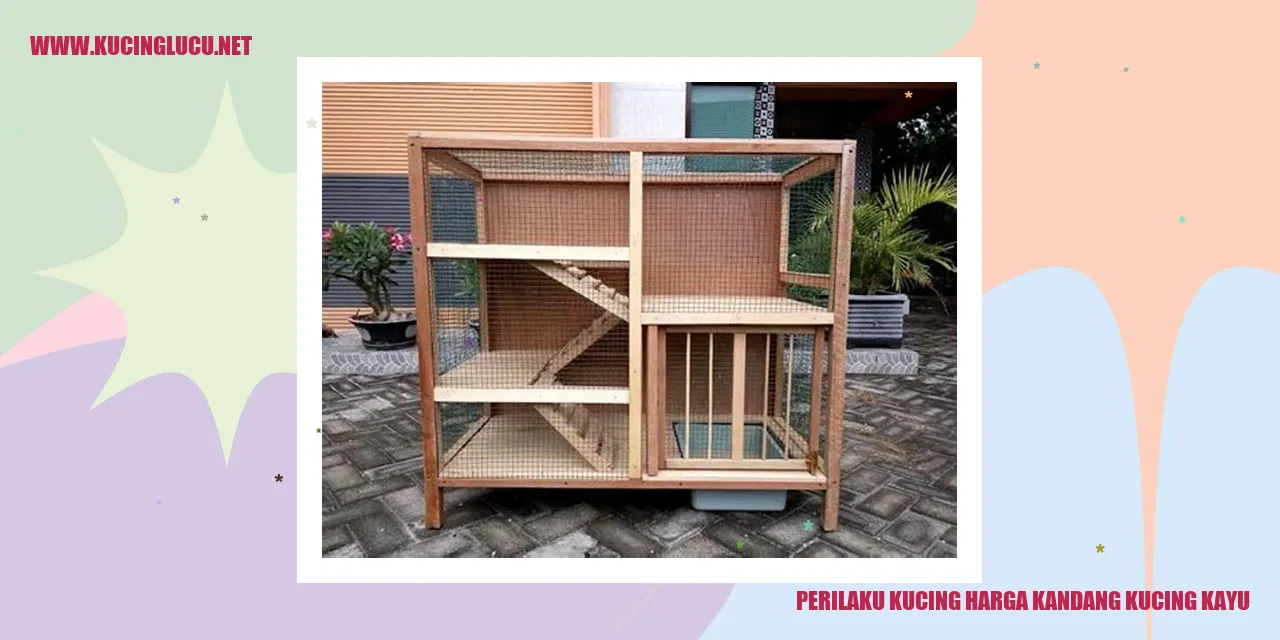 Kucing dalam kandang kayu