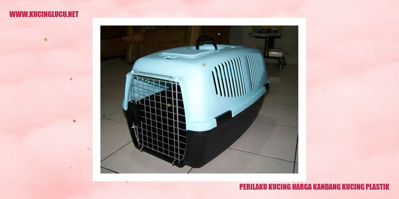 Gambar Kucing