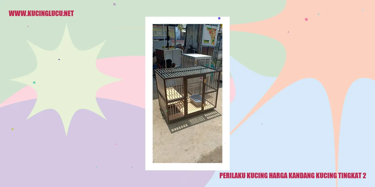 Perilaku Kucing dalam Kandang Tingkat 2