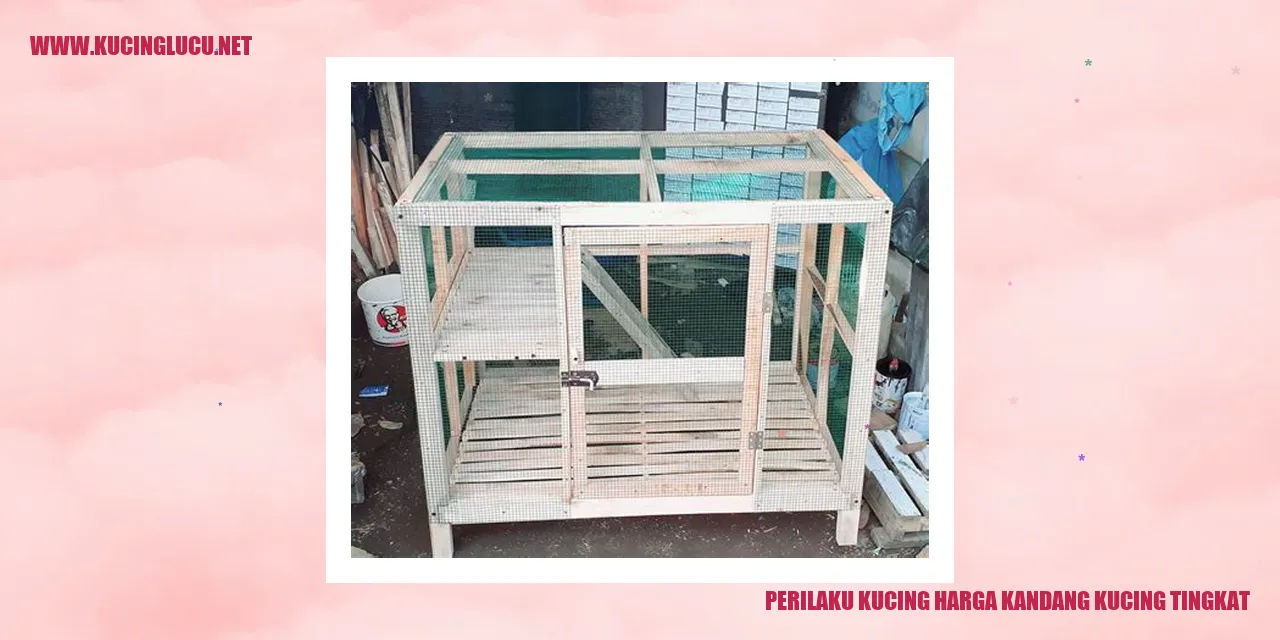 Perilaku Kucing Harga Kandang Kucing Tingkat