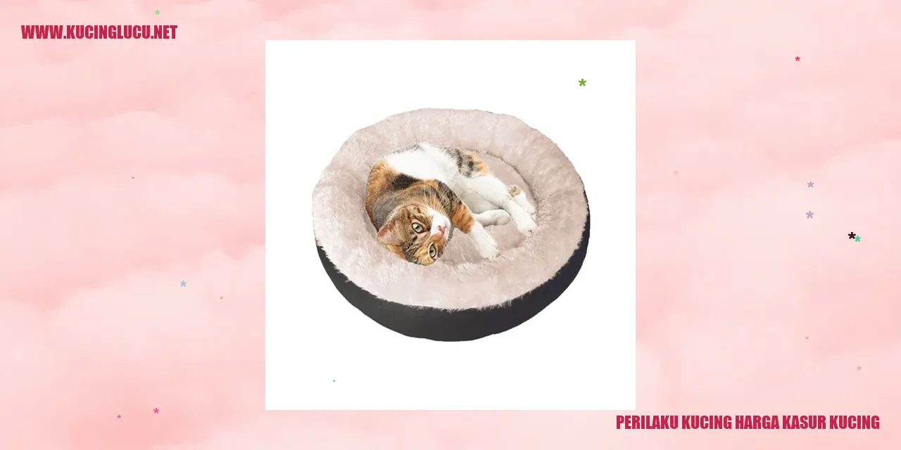 Perilaku Kucing Harga Kasur Kucing