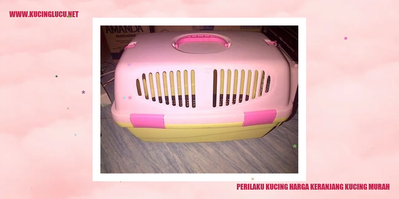 Perilaku Menawan Kucing dengan Harga Keranjang Kucing Murah