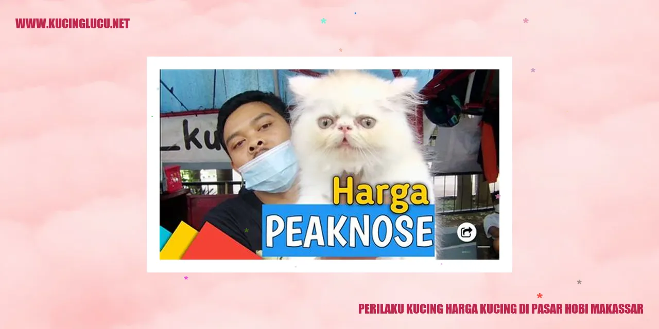 Perilaku kucing di pasar hobi Makassar