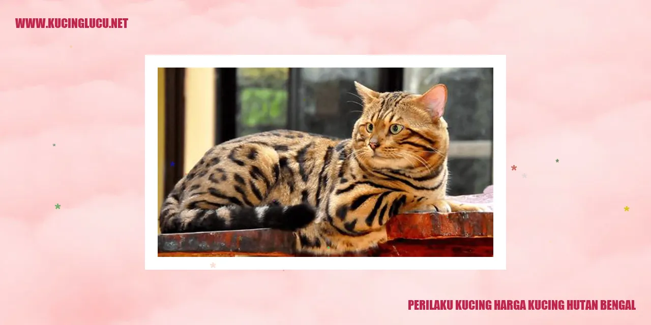 Perilaku Kucing Hutan Bengal