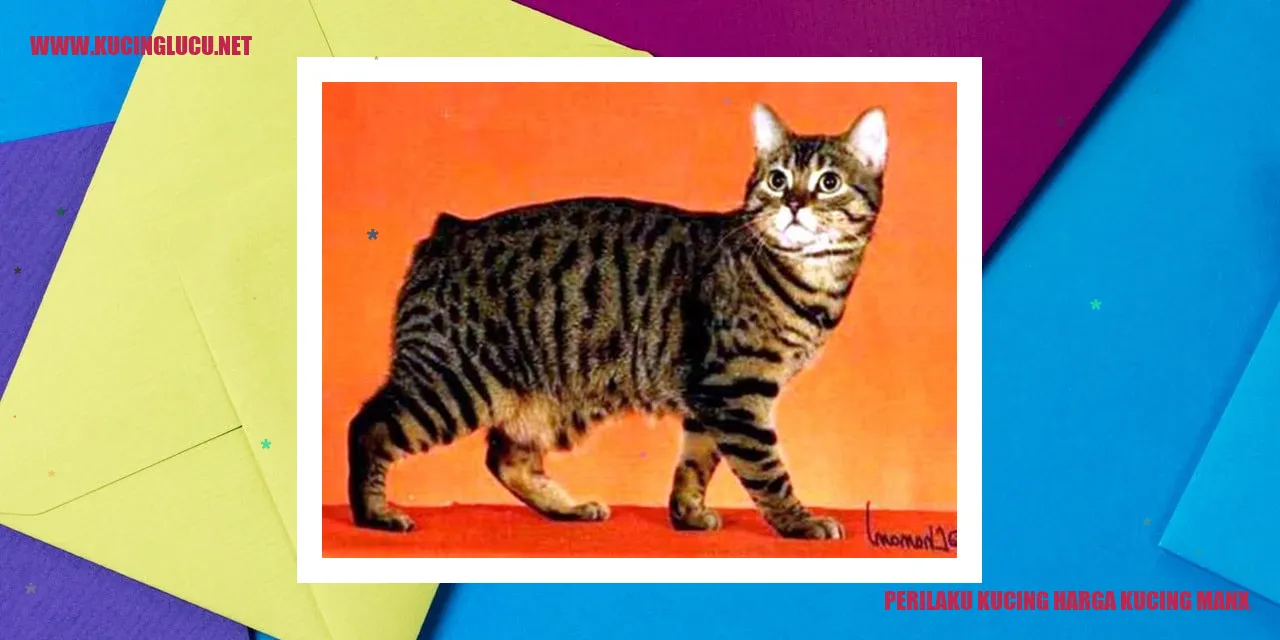 Perilaku Kucing Harga Kucing Manx