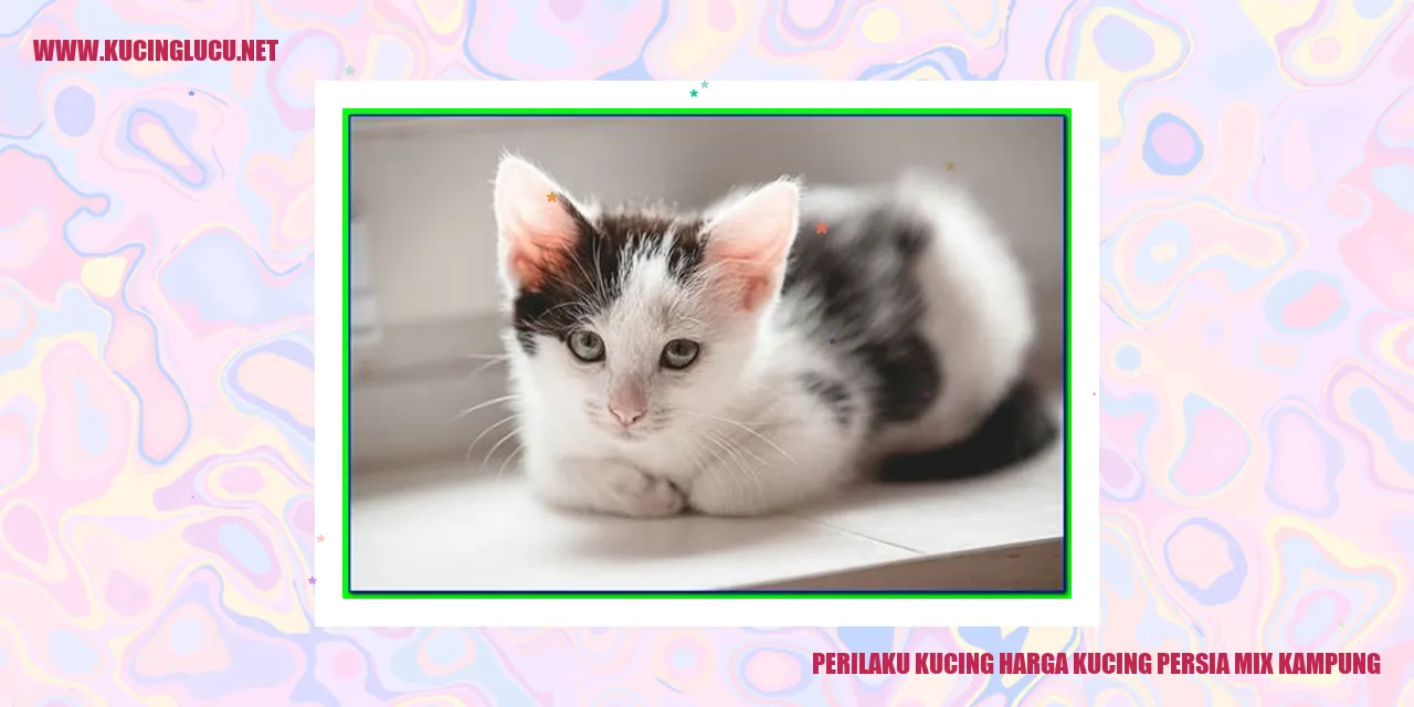 Perilaku Kucing harga kucing persia mix kampung