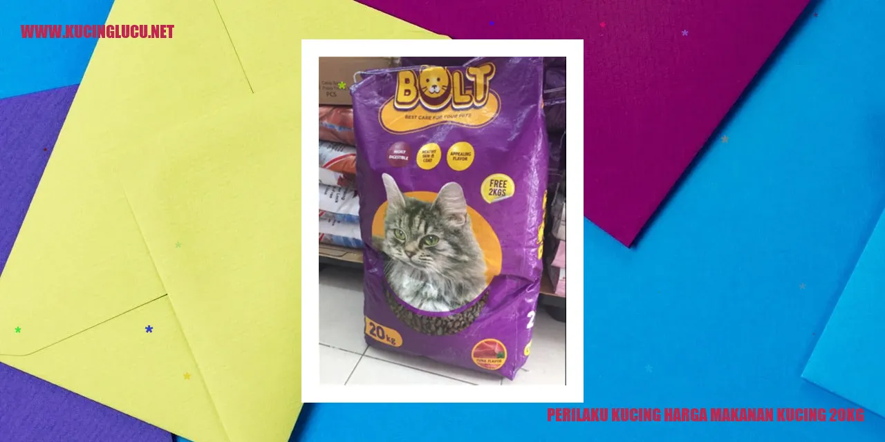 Kucing yang Karismatik dan Menggemaskan