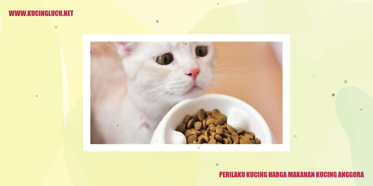 Perilaku Kucing dan Harga Makanan Kucing Anggora