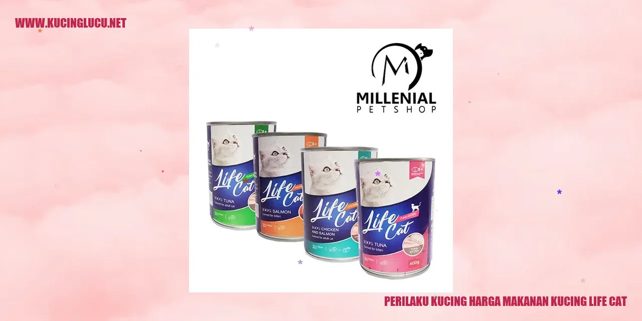 Gambar kucing
