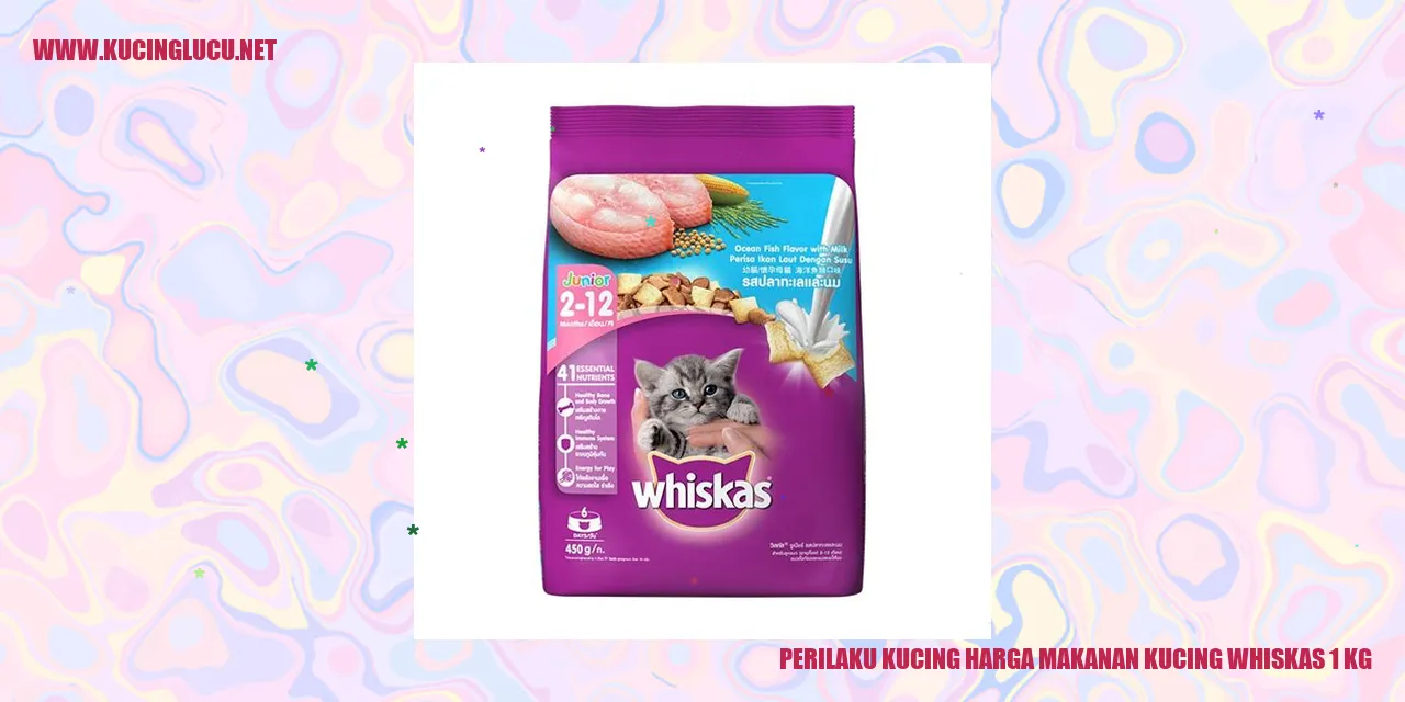 Gambar Kucing