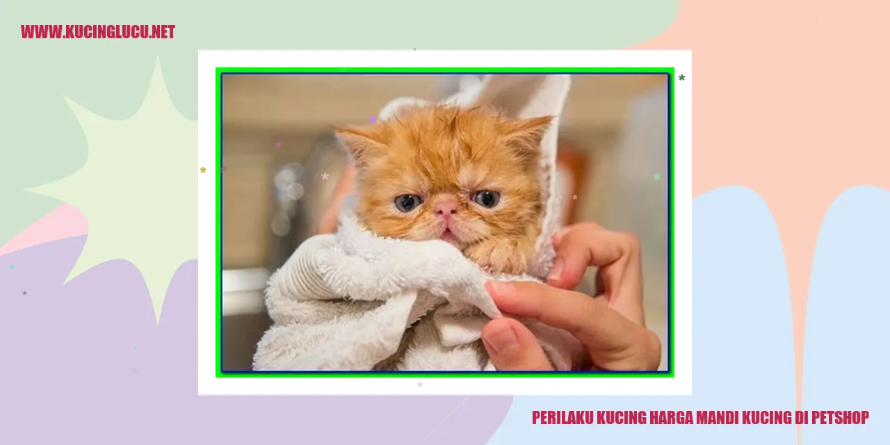 Perilaku Kucing saat Mandi di Petshop