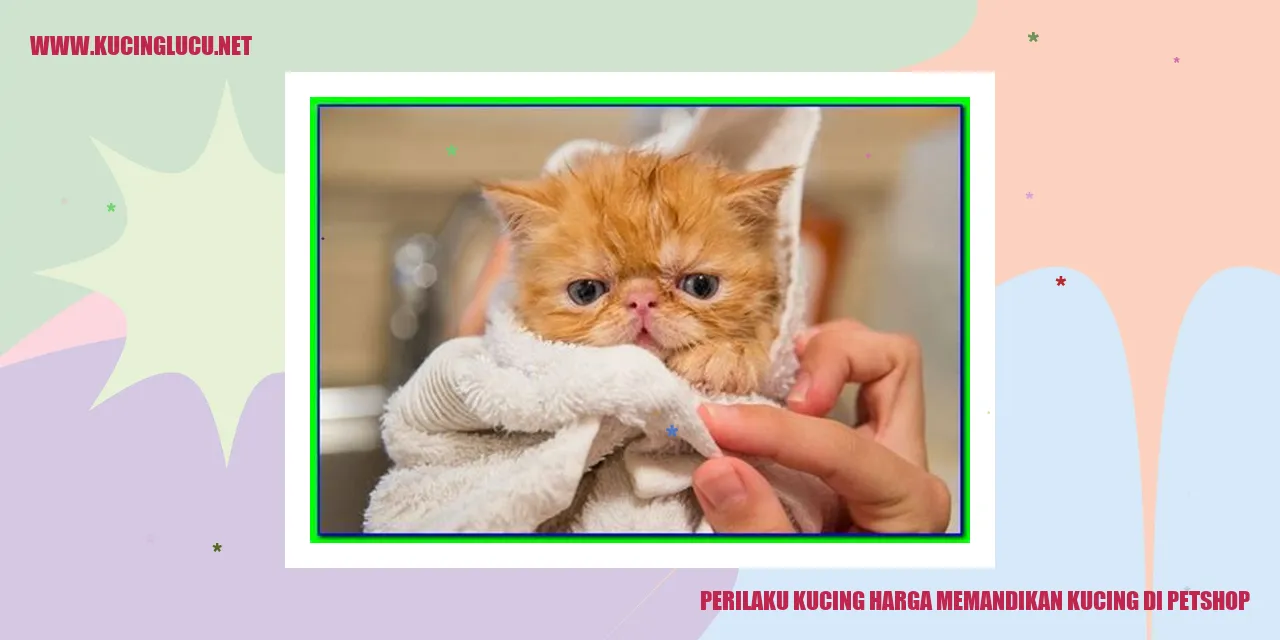 Gambar kucing di petshop
