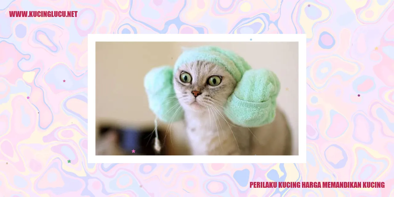 Perilaku Kucing Ketika Dibasuh