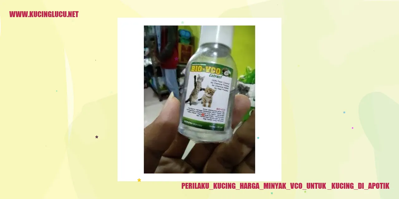 Perilaku Kucing