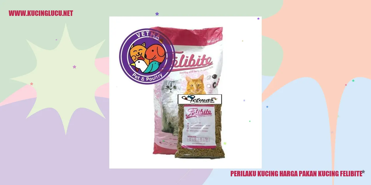 Gambar Kucing Menikmati Makanan Felibite