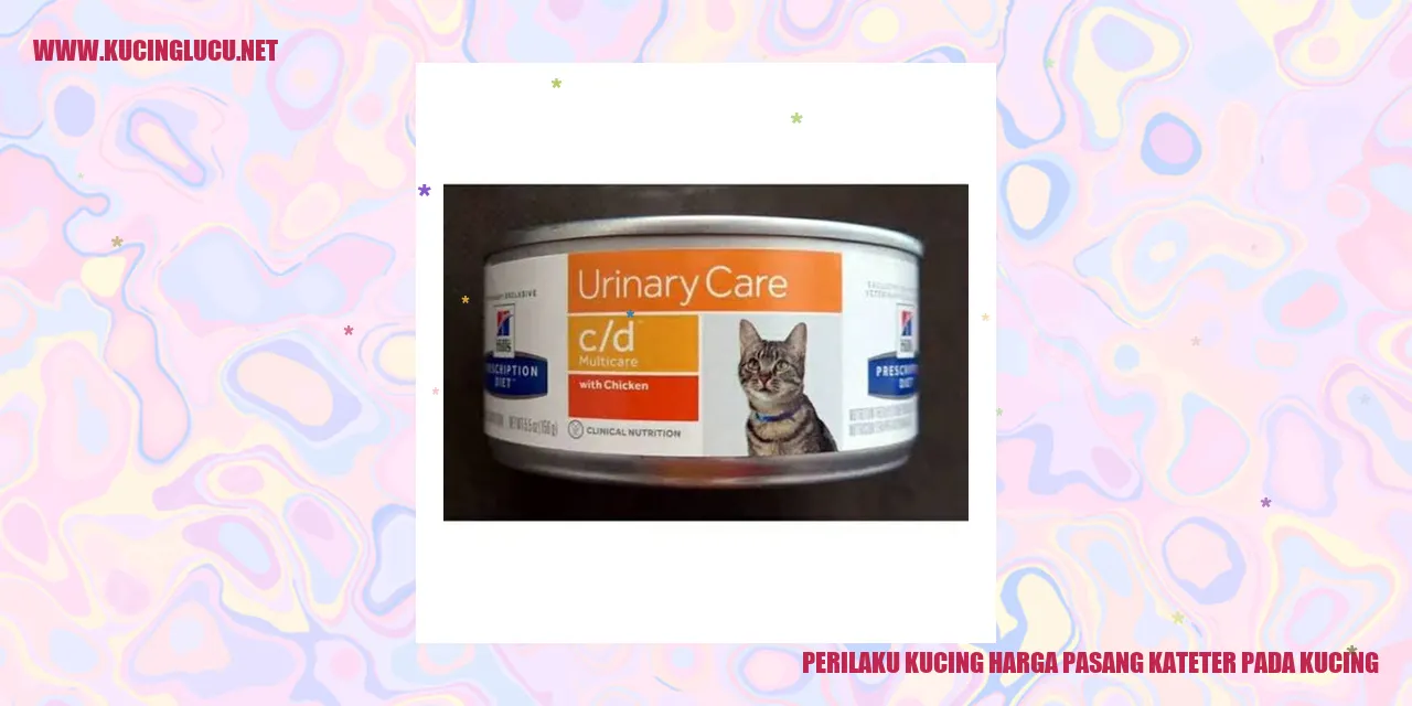 Kucing dengan kateter