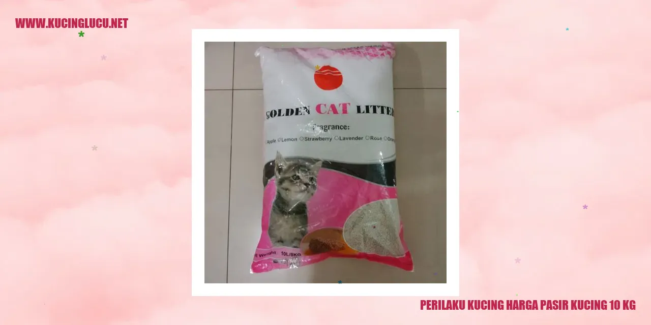 Kucing dan pasir kucing