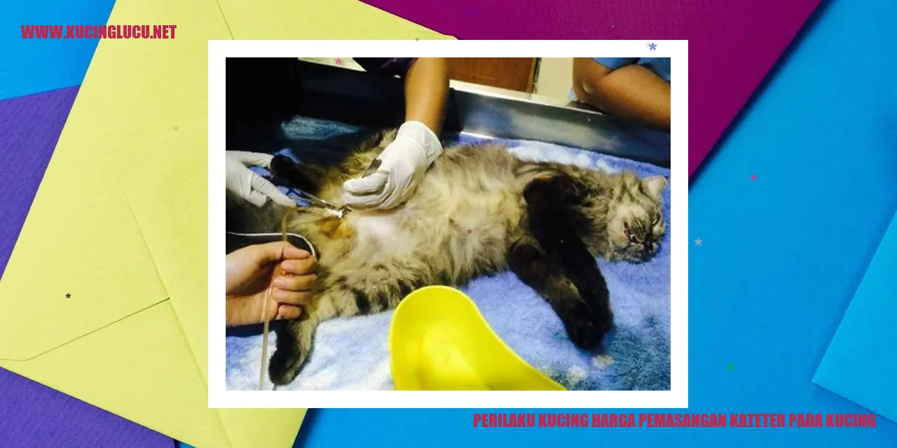 Perilaku Kucing harga pemasangan kateter pada kucing