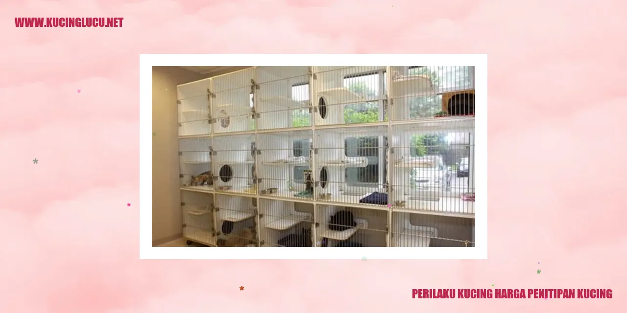 Perilaku Kucing harga penitipan kucing