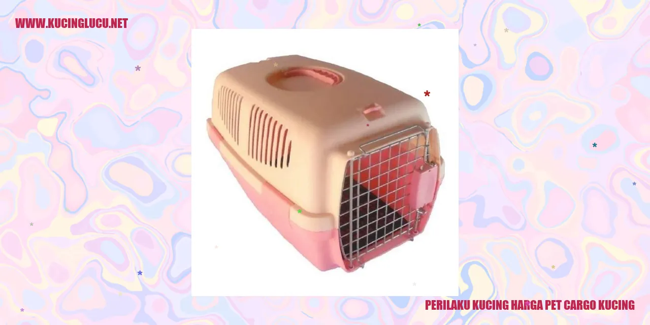 Perilaku Kucing dan Harga Pet Cargo Kucing