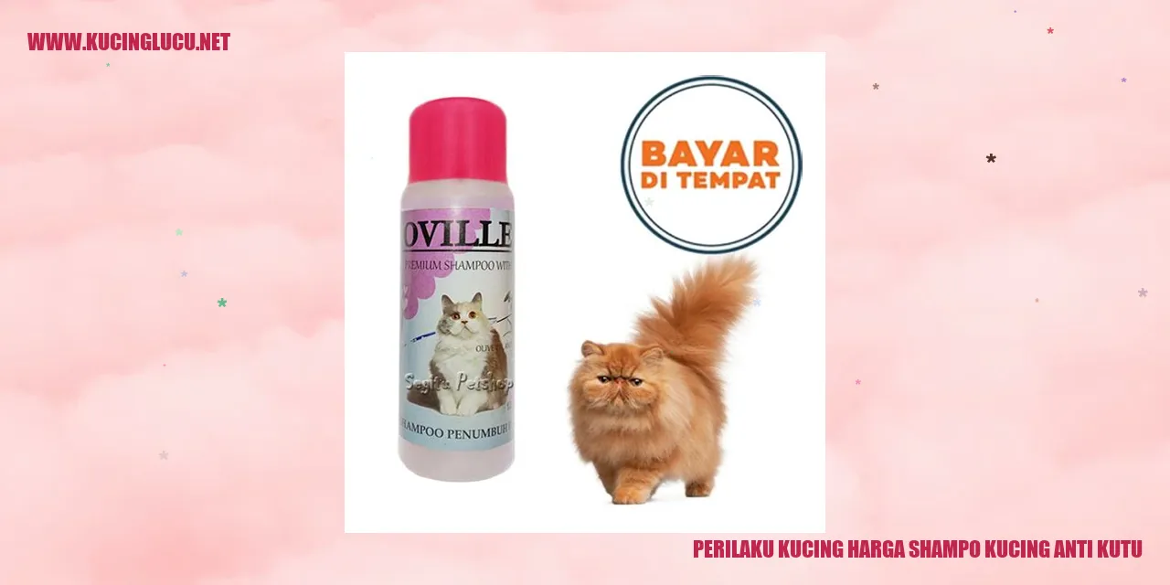 Perilaku Kucing harga shampo kucing anti kutu