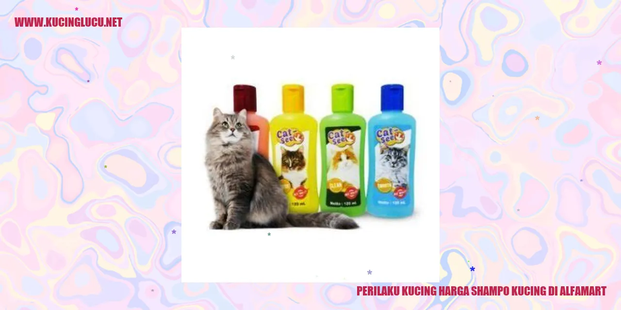 kucing