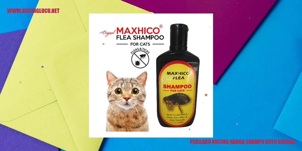 Kucing yang sedang mandi