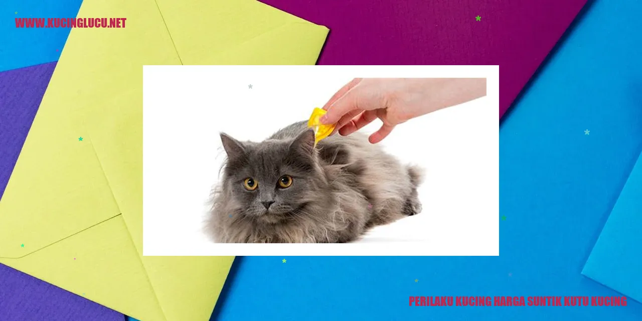gambar kucing sedang menggaruk dirinya