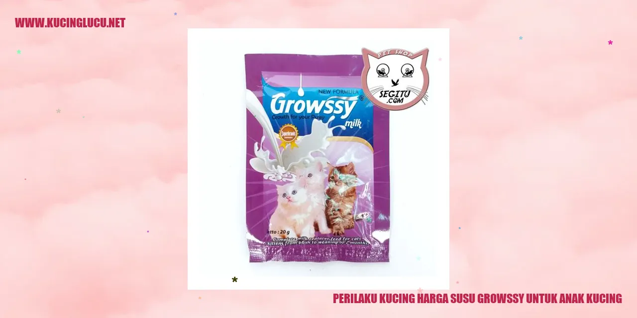 Gambar Kucing