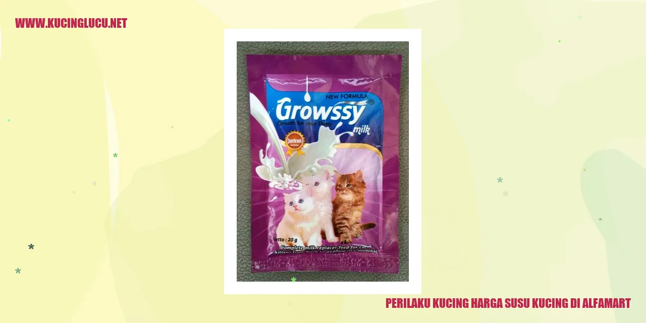 kucing dan susu kucing di Alfamart