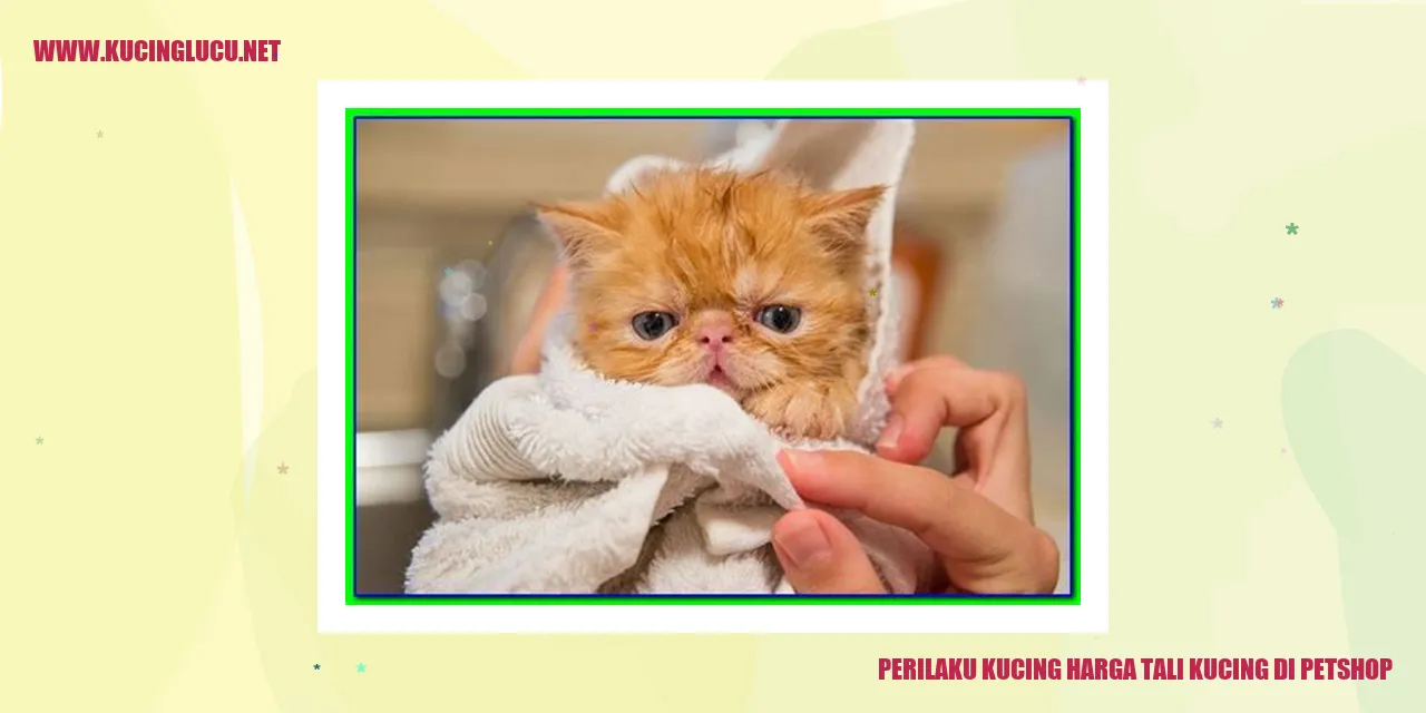 Perilaku Kucing