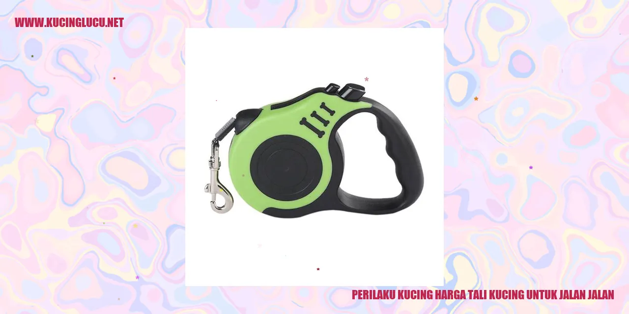 Kucing Menggunakan Tali untuk Jalan-jalan