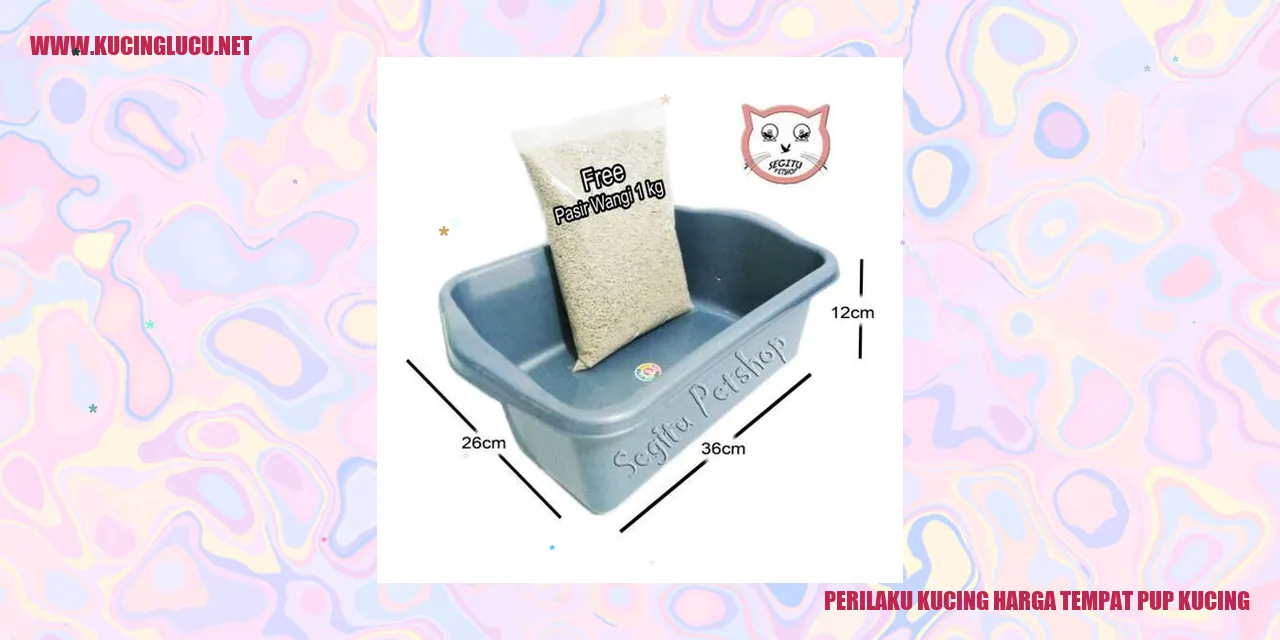 Ilustrasi Kucing