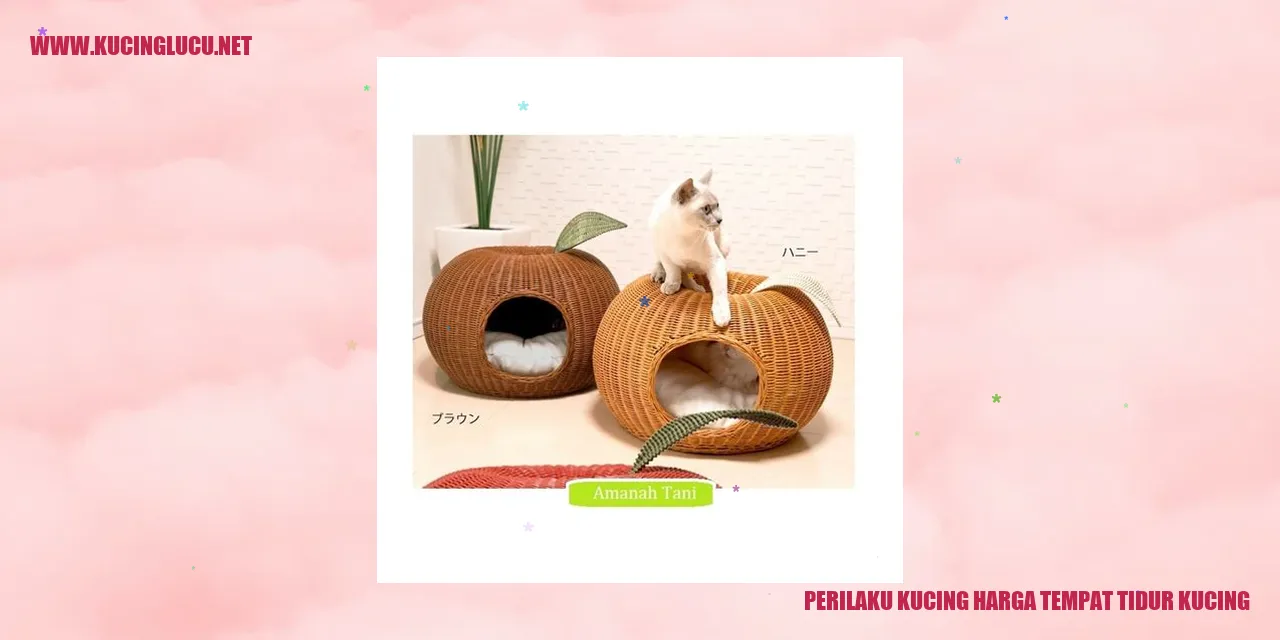 perilaku kucing