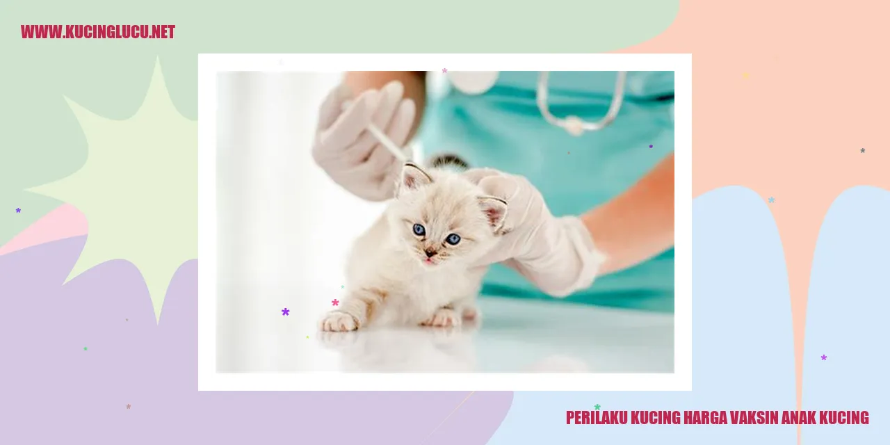 Perilaku Kucing saat Harga Vaksin Anak Kucing