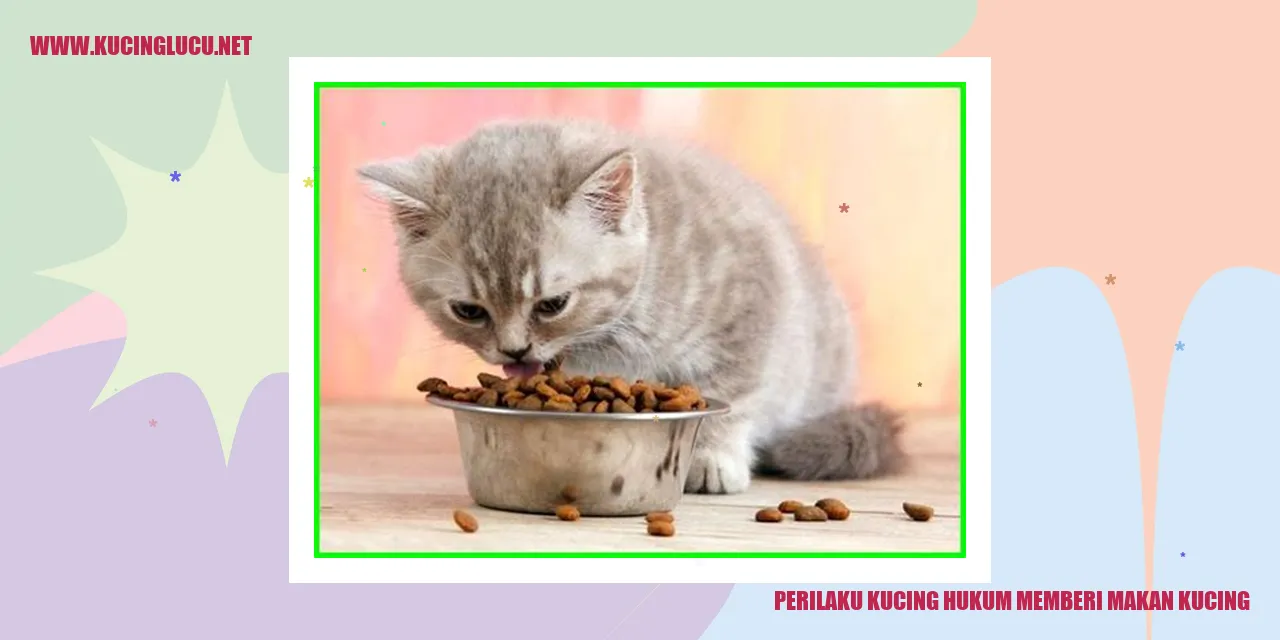 Perilaku Kucing dalam Memberi Makan Kucing