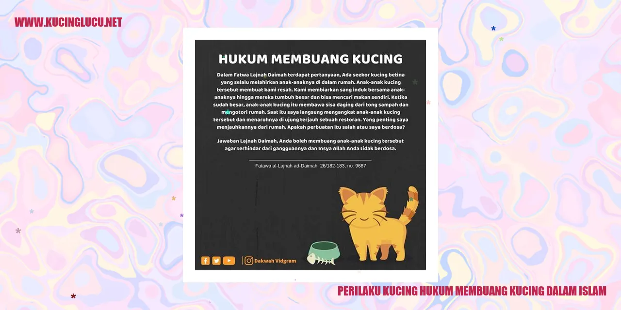 Kucing dalam Islam