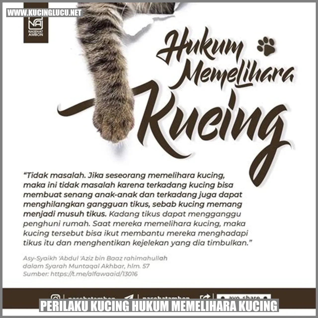 Gambar Kucing