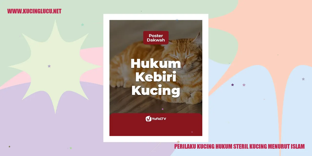Perilaku Kucing dan Hukum Sterilisasi Menurut Islam